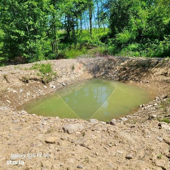 Teren de 6725 mp, în Ocna Șugatag