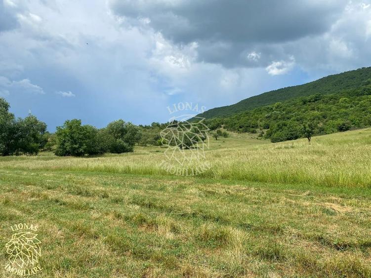 Teren agricol extravilan de 7200 mp, în Șieu-Măgheruș