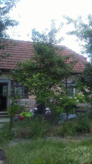 Teren Construcții intravilan de 720050 mp, în Tătărești