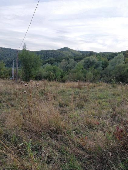 Casă cu Teren 15000 Mp în Bisoca