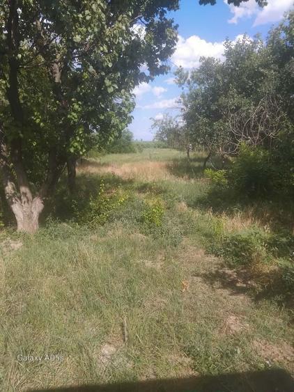 Casă cu 4 camere în Sânmartin