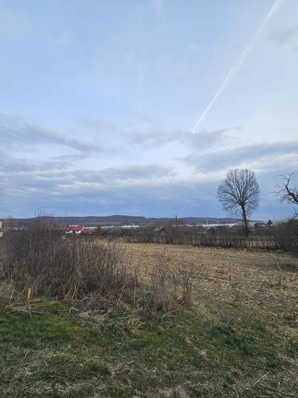 Teren de Vanzare in Curtea de Arges (2645 mp) Ideal Parcelare - 3