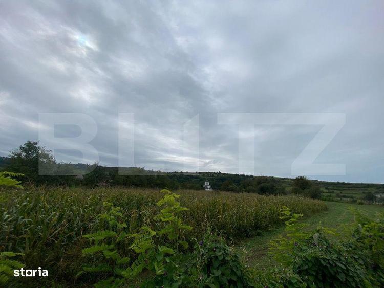 Teren intravilan de vanzare, 2.691 mp Mariselu, judetul Bistrita-N - 3