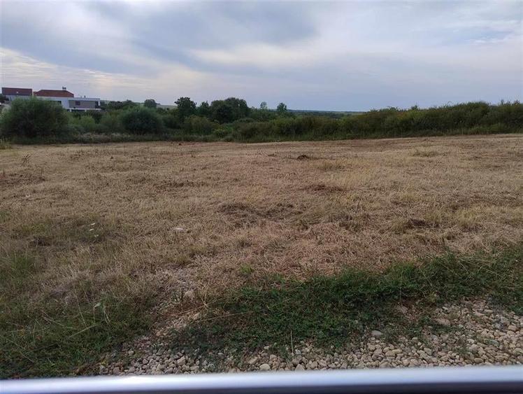 RECO Teren intravilan, Paleu - 3