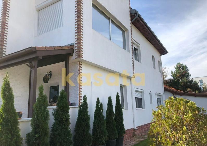 Vila deosebita 11 camere Erou Iancu Nicolae - 6