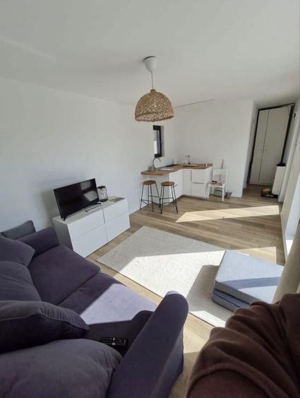 Teren 500mp Arcasilor - 4