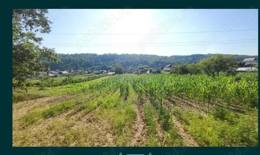 Teren ?i casa de vanzare in ?icleni, sat Tun?i - 1