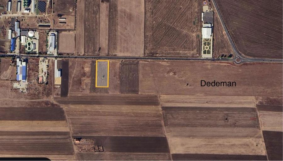 Teren extravilan Alexandria de Inchiriat sau de vanzare. - 8