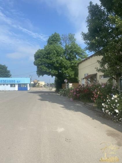 Spatiu industrial - productie alimentara de inchiriat str. Fabricilor - 20