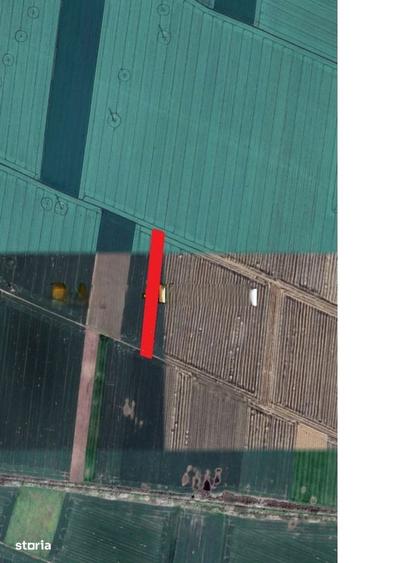 Teren Extravilan ( Aproape de Autostrada si Fan Courier ) - 2