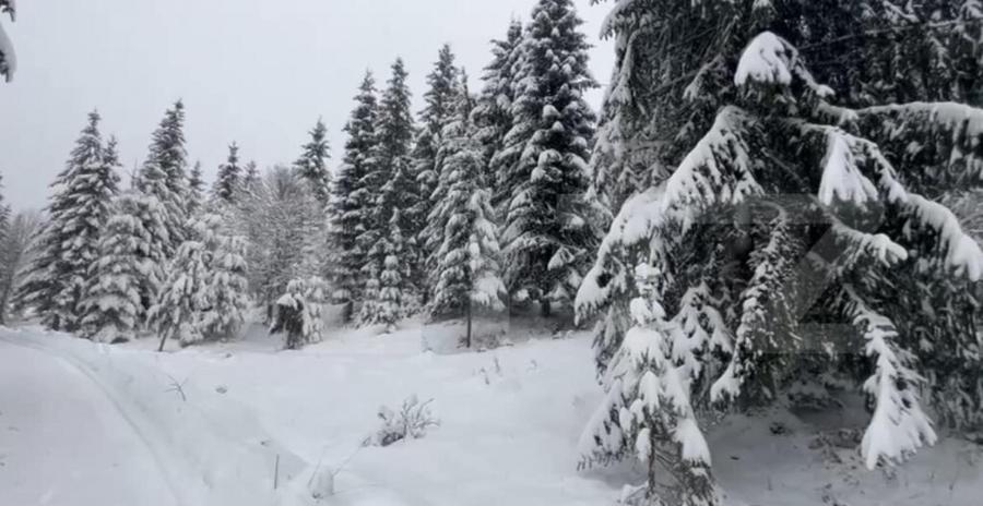 Teren 10,75 ari, intravilan Colibita, cu utilitati - 5