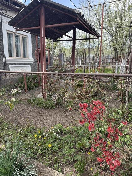 Casa la ?ara de vanzare - 9