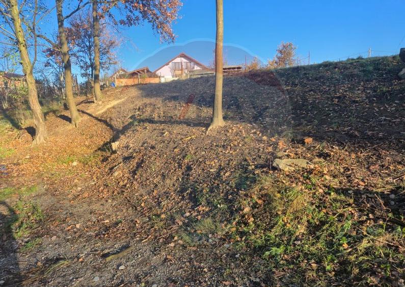 Teren intravilan de vanzare in Recea, ultima parcela disp... - 11