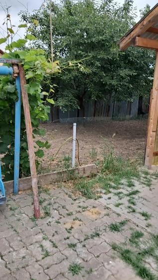 vand sau schimb casa cerneti - 7