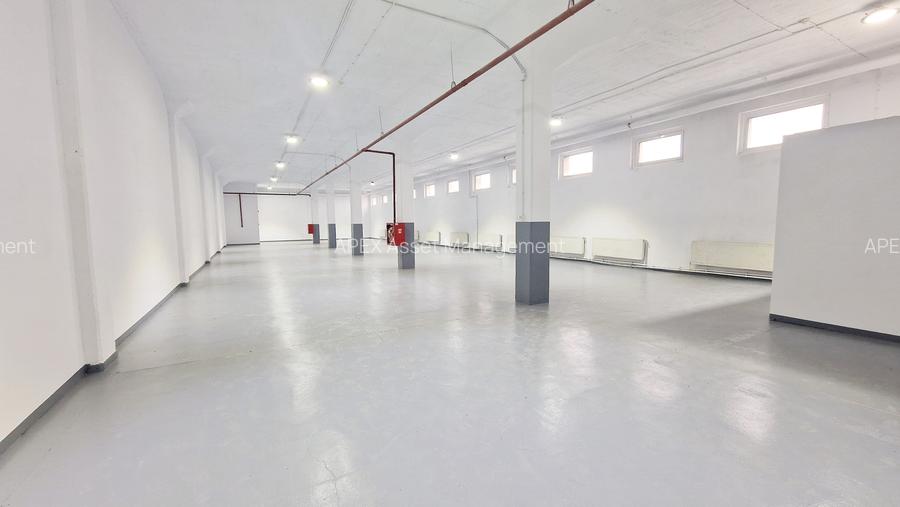 Spații multifuncționale – Depozitare / Producție ușoară / Logistica Spații multifuncționale – Depozitare / Producție ușoară / Logistica