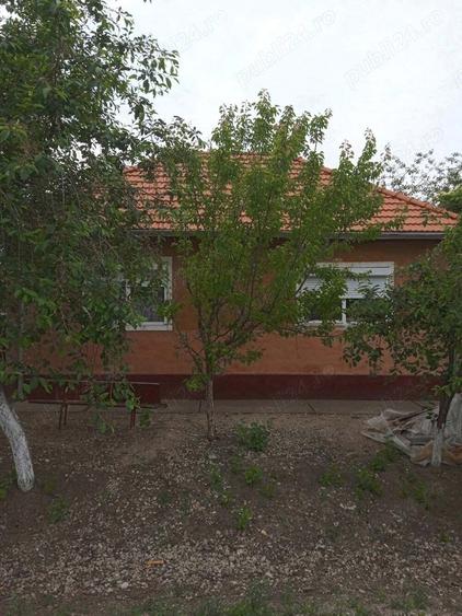 casa vanzare seleus - 9