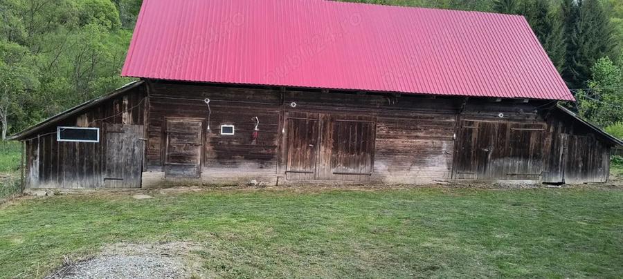 Casa ?araneasca de vanzare, Avram Iancu, Alba - 9