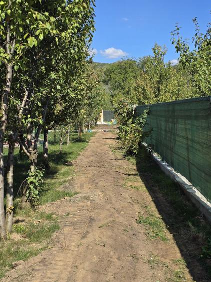 Teren de vanzare Brebu jud PH - 1