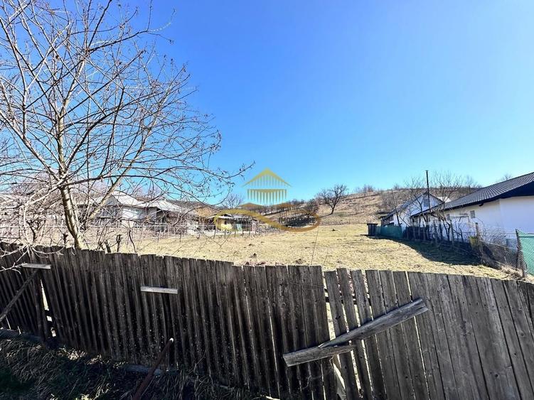 Teren Intravilan Luncani Bacau - 4