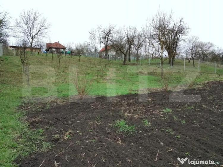 Teren intravilan de vanzare in Calarasi langa Turda! - 3