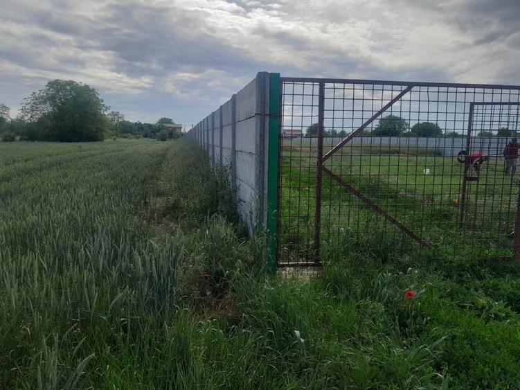 Teren de vanzare Tunari-Dimieni 800m2 cu autorizatie de constructie - 6