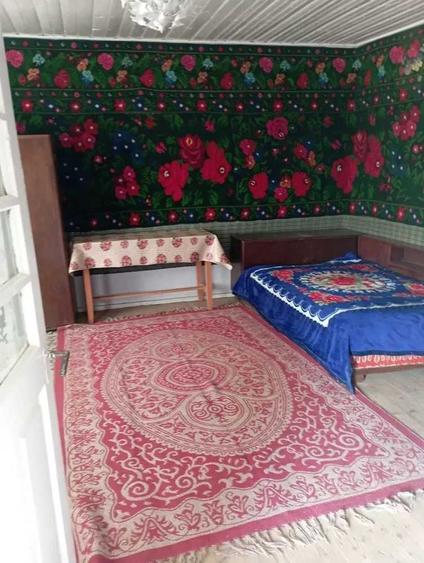 Casa cu curte si gradina la poalele muntilor Soveja, Vrancea - 7