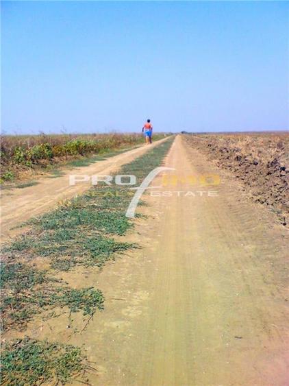 Teren 2000mp.situat la cc.800 m. de Plaja Corbu - 4