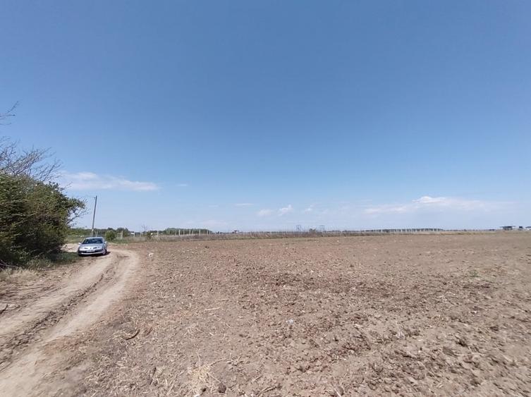 Teren intravilan Tartasesti - Penny, lotizat, Excelent complex rezidential - 7