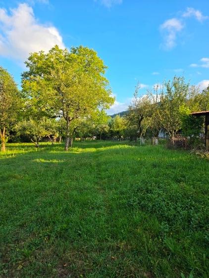 Teren 2500 mp – POTENȚIAL BUSINESS / DEZVOLTARE – Breaza - 9