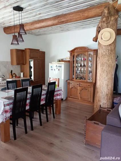 Proprietate montana cu doua cabane,5000mp teren-Costesti,judetul Alba altitudine1200m ideal investit - 5