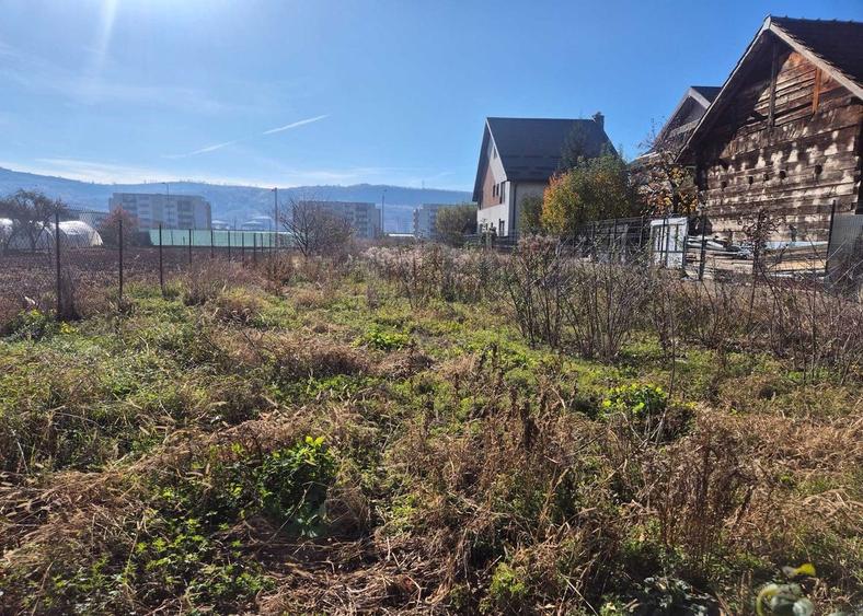 TEREN /CASA DE VANZARE , 1.580 , AVRAM IANCU - 5