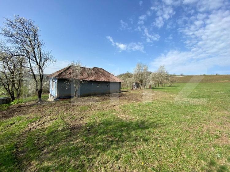 Casa  cu 10000mp de teren in Buza, la 50 km de Cluj-Napoca - 8
