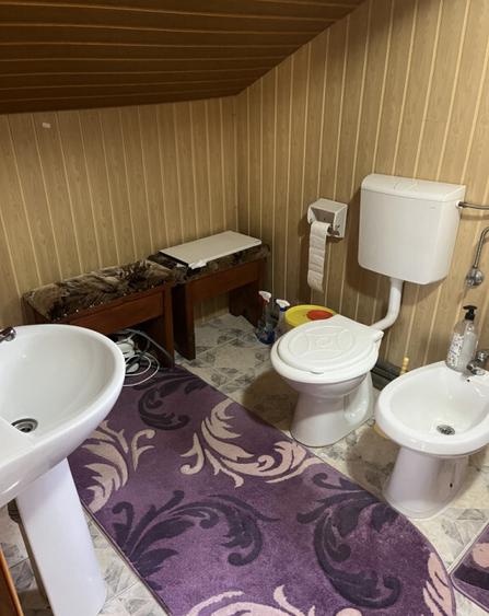 Casa Vladesti ?arina - 8