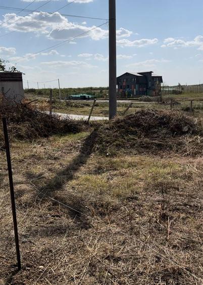 Teren Mogosoaia 624mp (proprietar) - 2