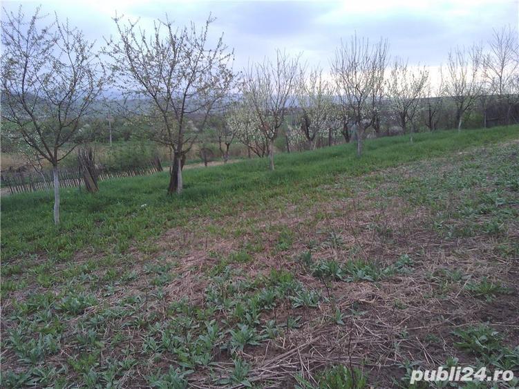 Casa cu teren comuna Ludos judetul Sibiu la numai 8km de autostrada Sibiu Sebes Deva. - 2