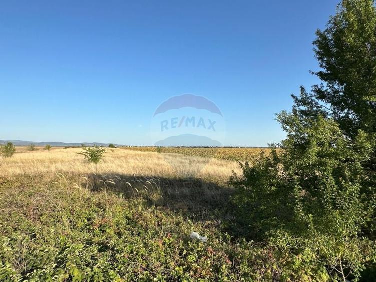 Teren extravilan de vânzare – 19.963 mp, E68 Mândruloc–Vladimirescu - 8