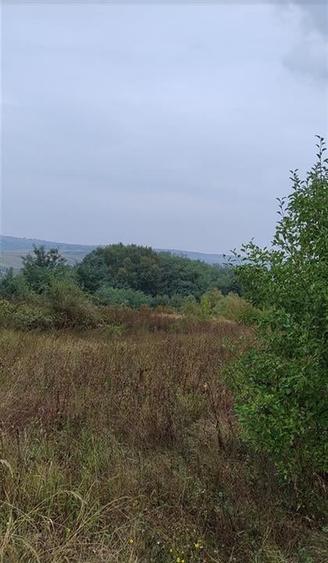 RECO Teren intravilan Lazareni - 2