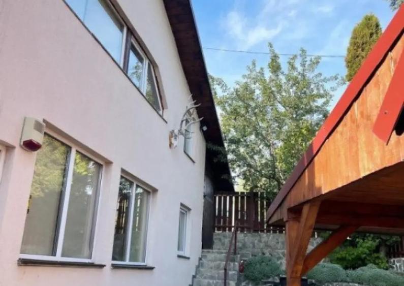 Cabana cu 4 dormitoare, foisor, ciubar, Statiunea Muntele Ba - 16