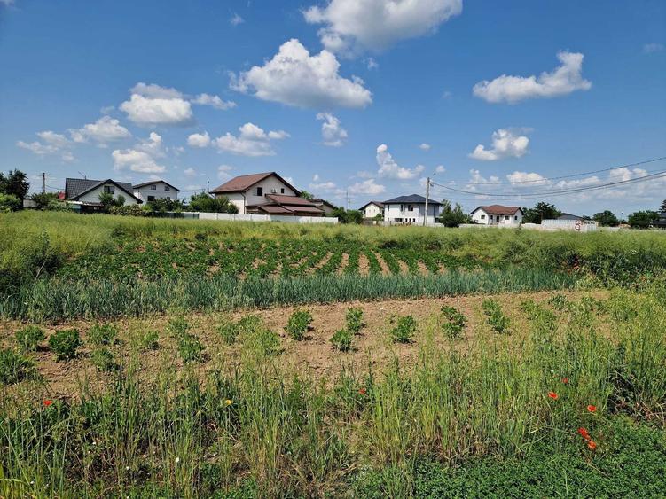 Teren intravilan Balaceanca - 3