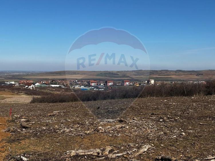 Teren de vânzare – Paleu, județul Bihor | 3 parcele a câte 618 mp - 7