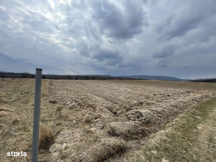 TEREN EXTRAVILAN | 23 ARI | HORODNIC DE SUS - 9