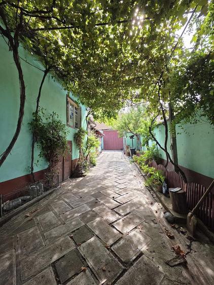 Casa de vanzare in comuna Calnic - 2