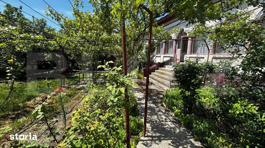 Proprietate cu 2 case, 3.345 mp teren, Balota de Jos, comuna Murgasi - 1