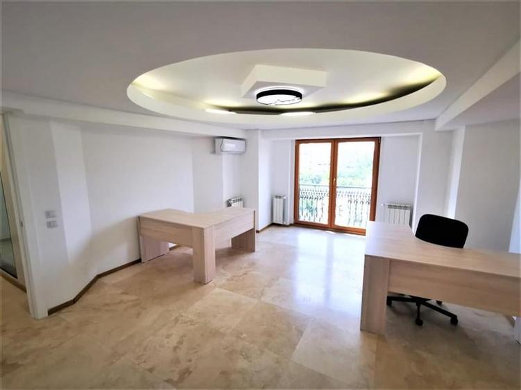 Inchiriere spatiu de birouri intersectia  Alba Iulia - 2