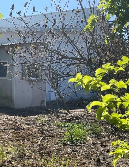 Abator pasari - Nadlac, Arad - 3