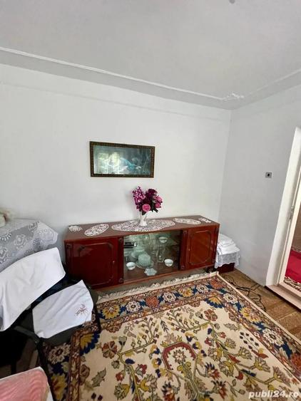 Casa de vanzare cu acces la Bra?ul Borcea, Bordu?ani - 2