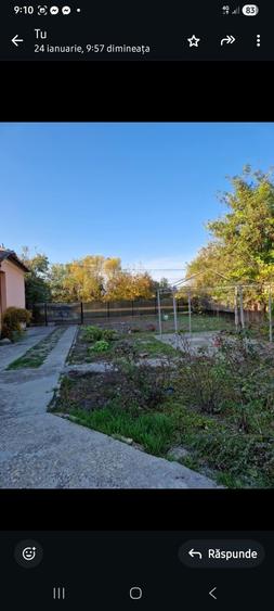 Casa de vanzare la Cenad - 4