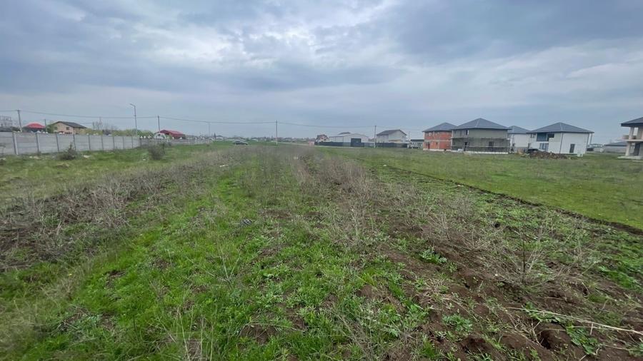 REL4001112 Teren I De Vanzare I Clinceni - 1