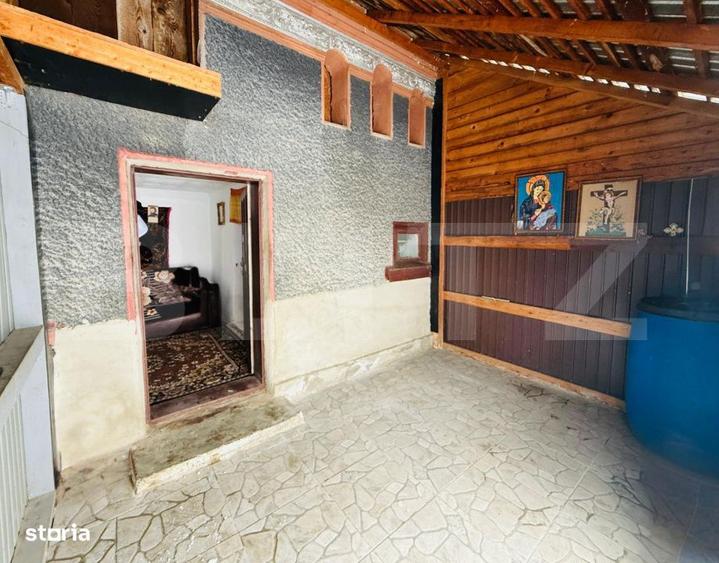 Refugiu la tara: casa traditionala , teren generos, si intimitate Cos - 9