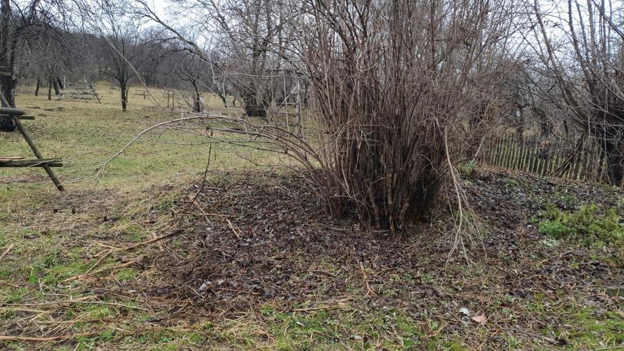 Teren in Comuna Secaria - 3